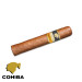 Charuto Cohiba robustos maringá