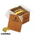 Charuto Cohiba robustos maringá