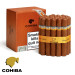 Charuto Cohiba siglo VI maringá