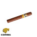 Charuto Cohiba siglo II maringá