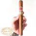 Charuto Romeo y Julieta Churchills maringa